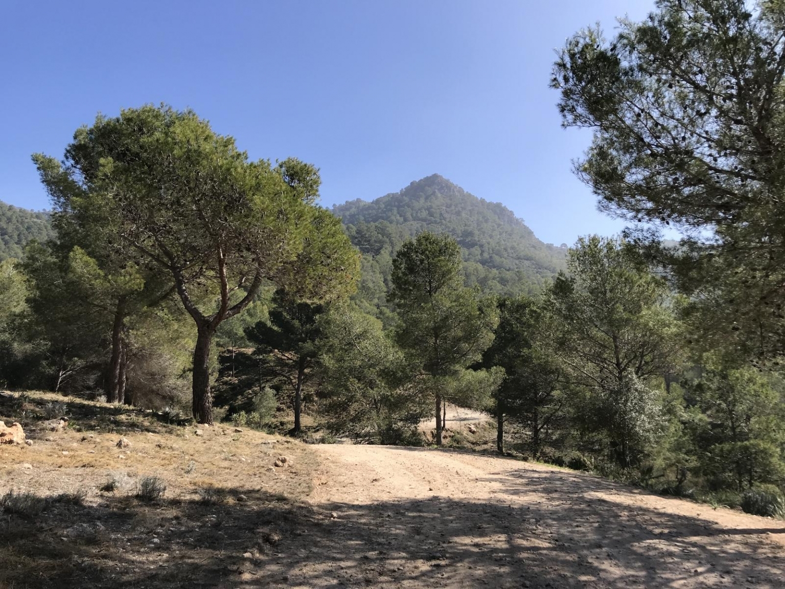 Hiking route: To the Barranco de La Coladilla